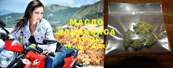хмурый Арсеньев